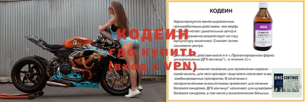 МДПВ Инсар