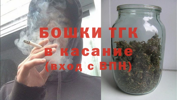 МДПВ Инсар