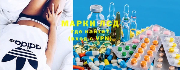 МДПВ Инсар