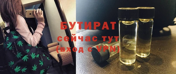 МДПВ Инсар