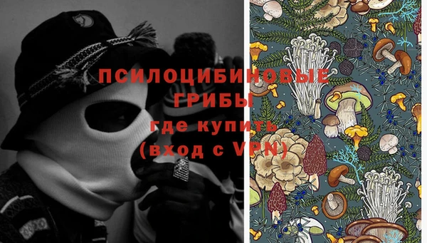МДПВ Инсар