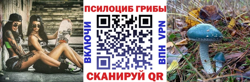 Купить закладки  Коряжма  Псилоцибиновые грибы Psilocybe 